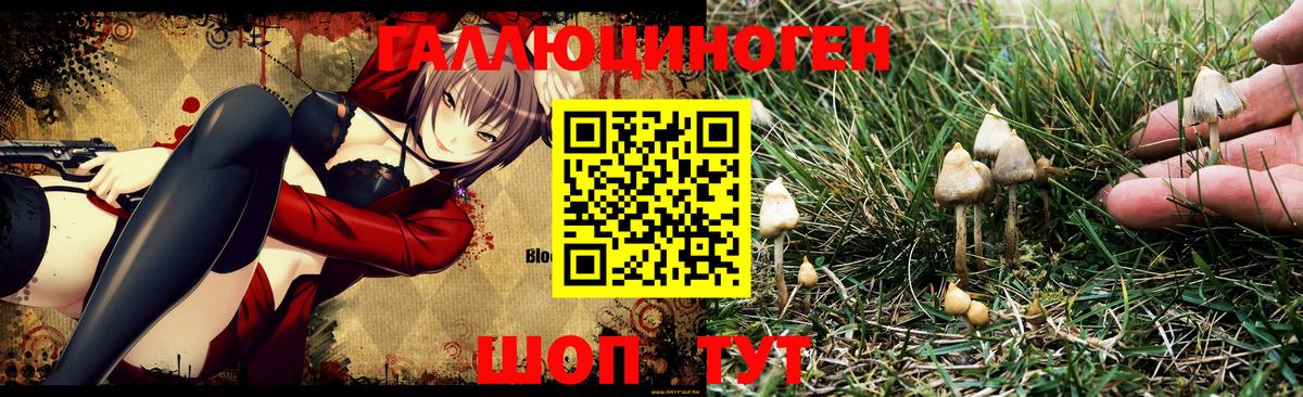Галлюциногенные грибы мухоморы  Вход с VPN  как найти закладки  Нарткала 